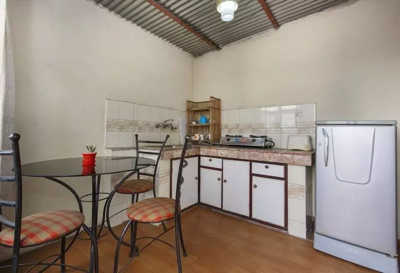 هاستل Pacific Guest House