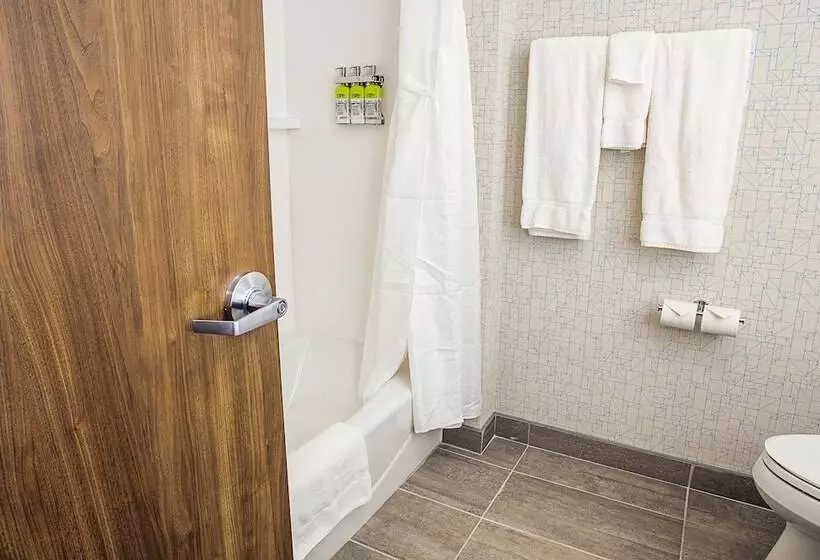 ホテル Holiday Inn Express & Suites Halifax – Dartmouth