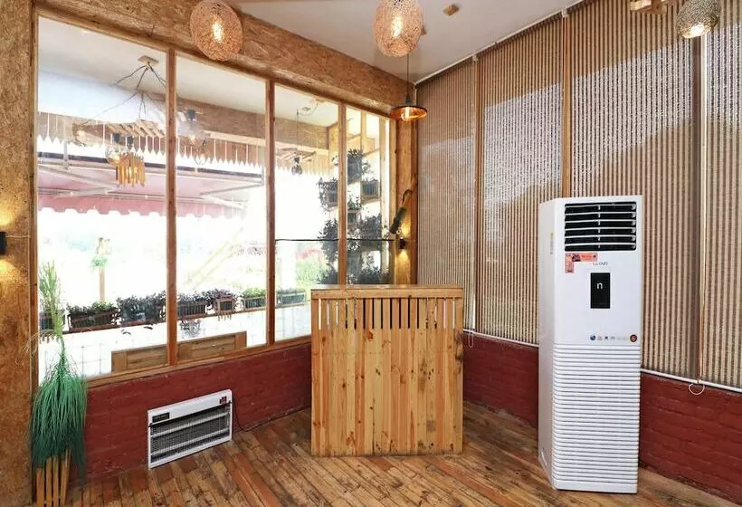 Oyo 14802 Hotel Virus Bistro