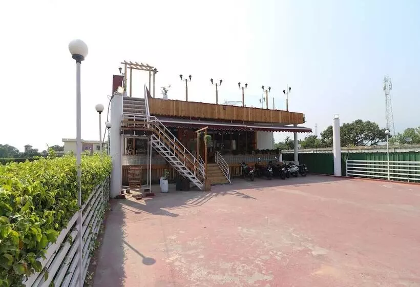 Oyo 14802 Hotel Virus Bistro