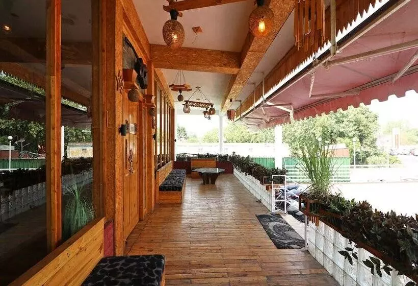 Oyo 14802 Hotel Virus Bistro