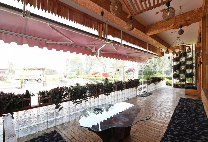 Oyo 14802 Hotel Virus Bistro