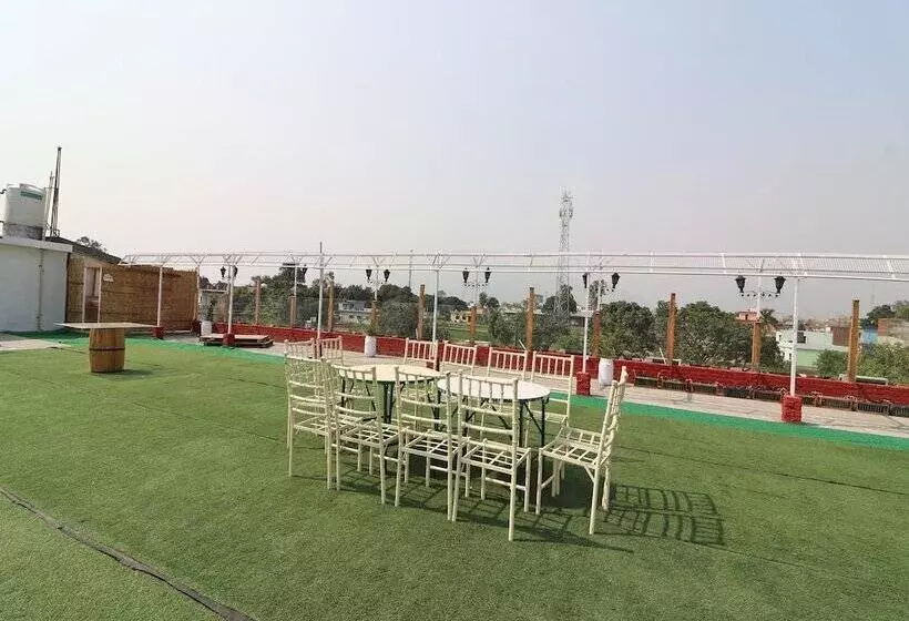Oyo 14802 Hotel Virus Bistro