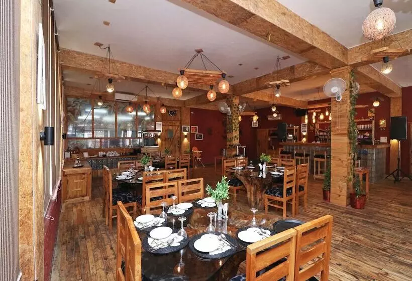 Oyo 14802 Hotel Virus Bistro