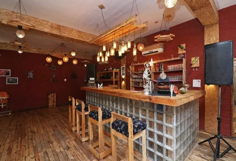 Oyo 14802 Hotel Virus Bistro