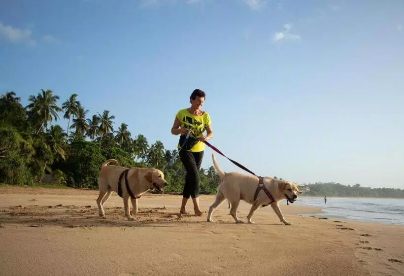 Hotel Garden Villa Talalla