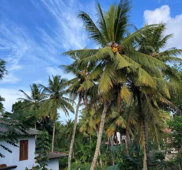 Hotel Garden Villa Talalla