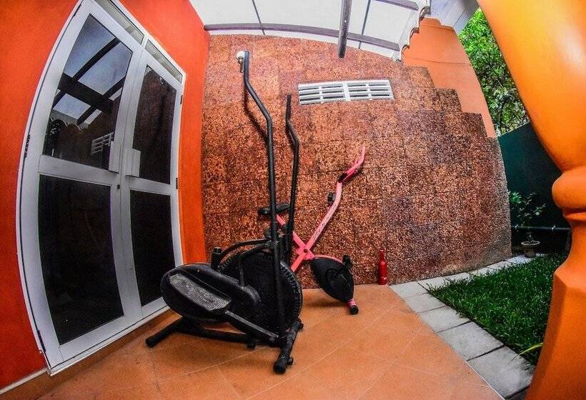 Bed and Breakfast Wattle Inn