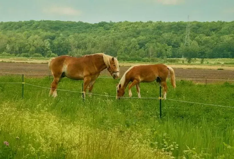 Hotelli Varennes Grand Montreal - Self Check-In