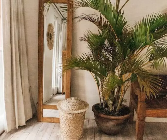 ホテル Dreamsea Canggu Hostel