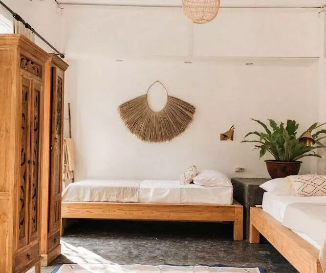 ホテル Dreamsea Canggu Hostel