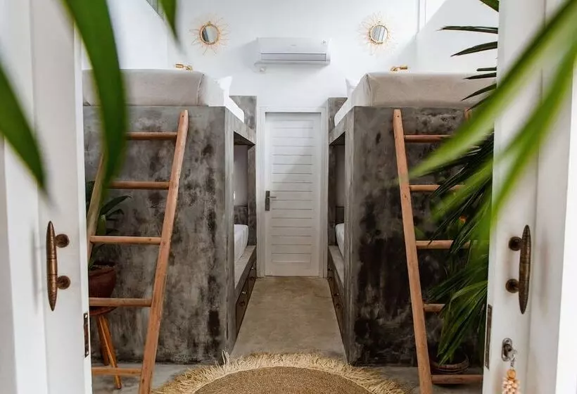 ホテル Dreamsea Canggu Hostel