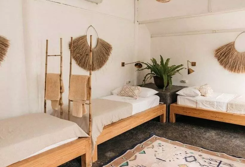 ホテル Dreamsea Canggu Hostel