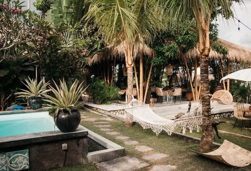 ホテル Dreamsea Canggu Hostel