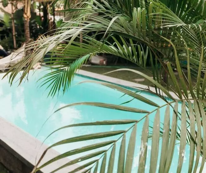 ホテル Dreamsea Canggu Hostel