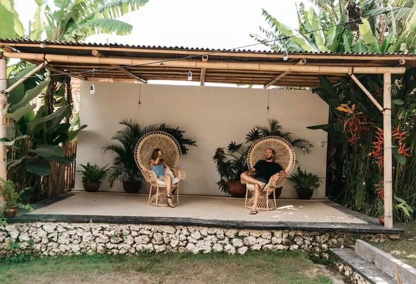 ホテル Dreamsea Canggu Hostel