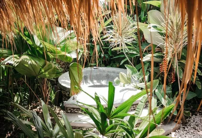 ホテル Dreamsea Canggu Hostel
