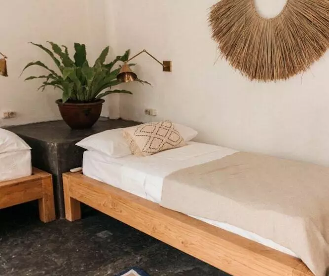 ホテル Dreamsea Canggu Hostel