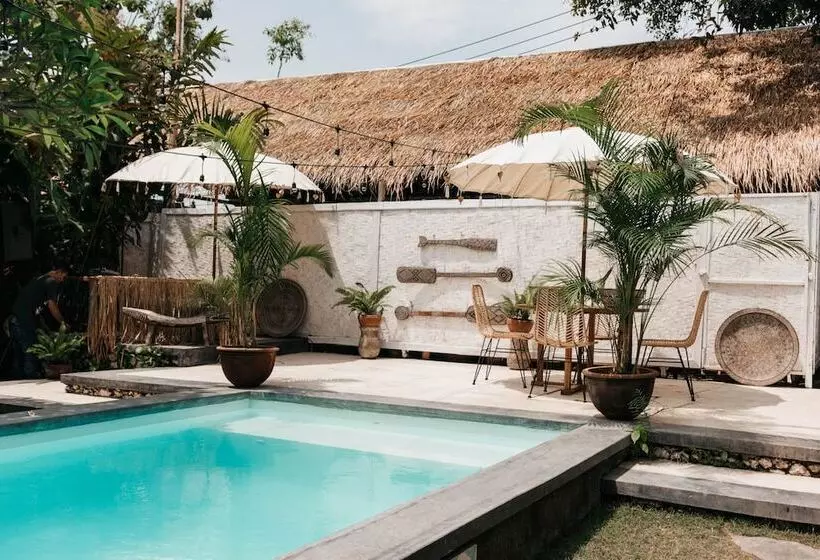 ホテル Dreamsea Canggu Hostel