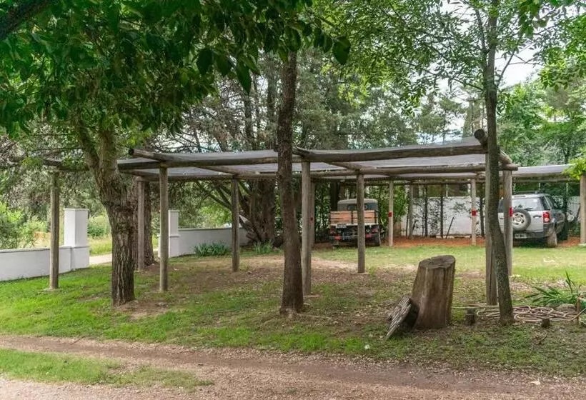 Tacuifi I   Apartamentos