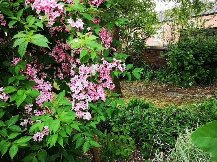 צימר Chimneys Guest House