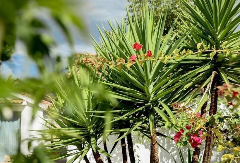 Boutique Hotel Rancho Los Lobos