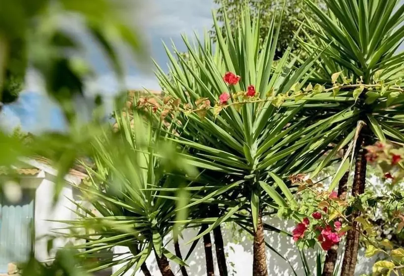 Boutique Hotel Rancho Los Lobos