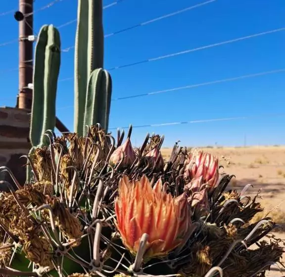 پانسیون Koha Guesthouse