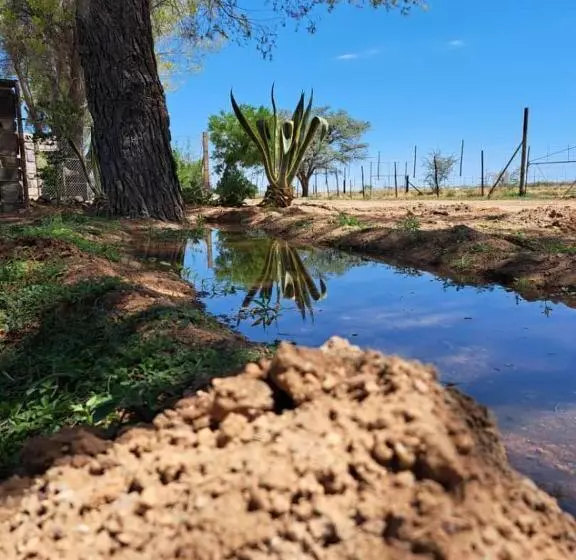 پانسیون Koha Guesthouse