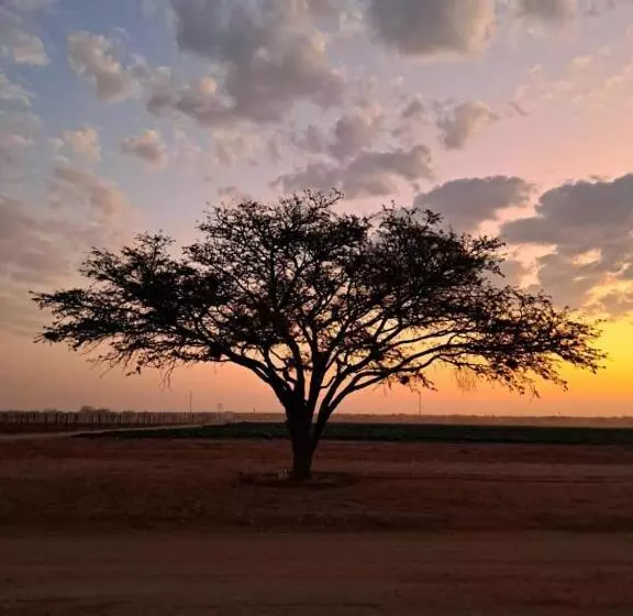 پانسیون Koha Guesthouse