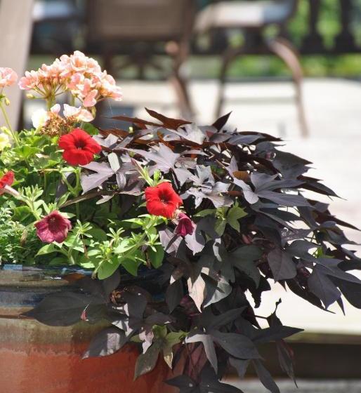 Общежитие Riverview Inn