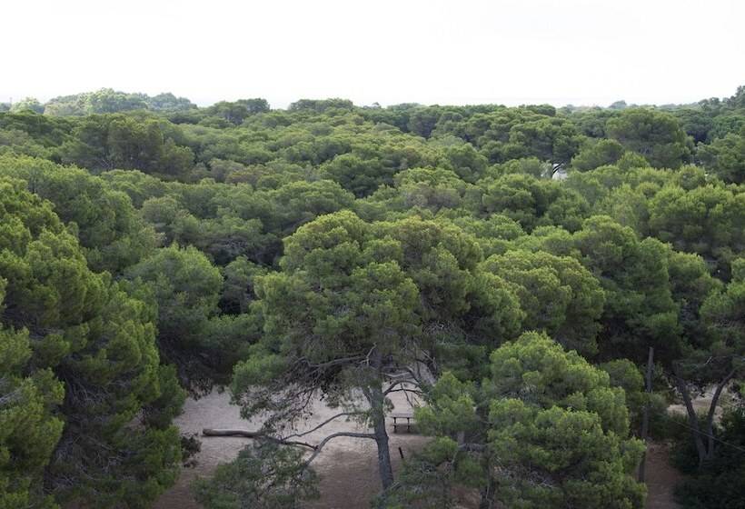 فندق You & Co. Saler Beach Boutique