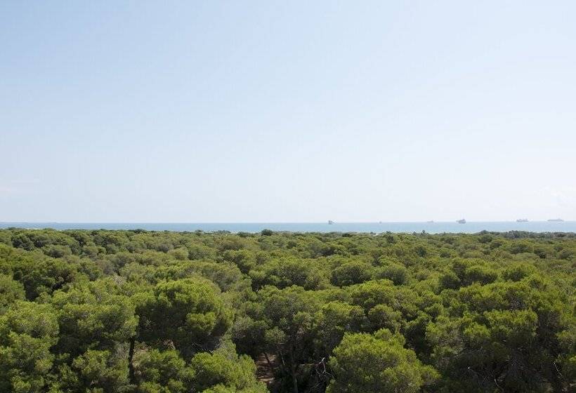 فندق You & Co. Saler Beach Boutique