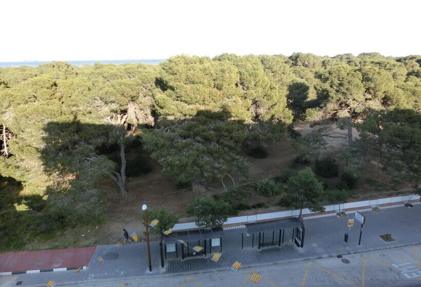 فندق You & Co. Saler Beach Boutique