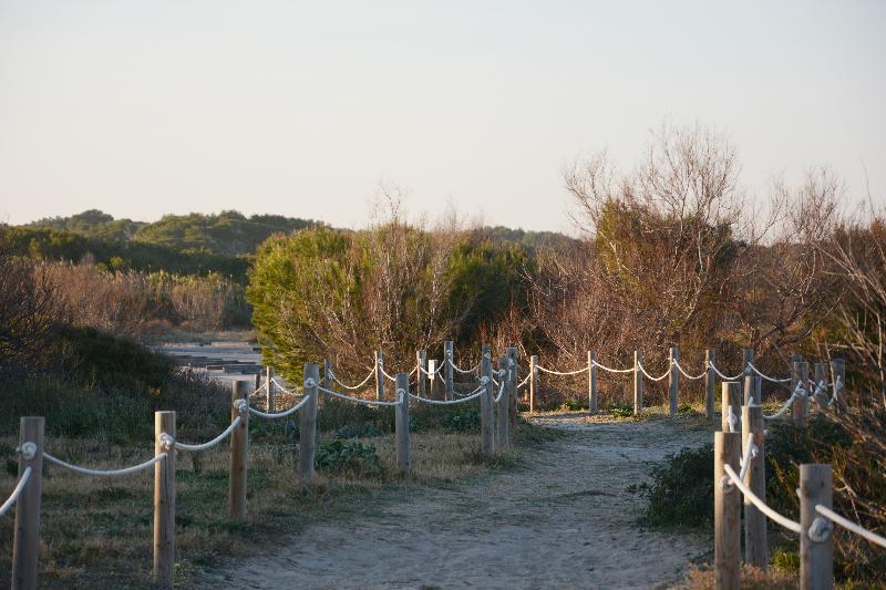 فندق You & Co. Saler Beach Boutique