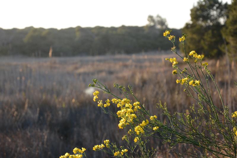 فندق You & Co. Saler Beach Boutique