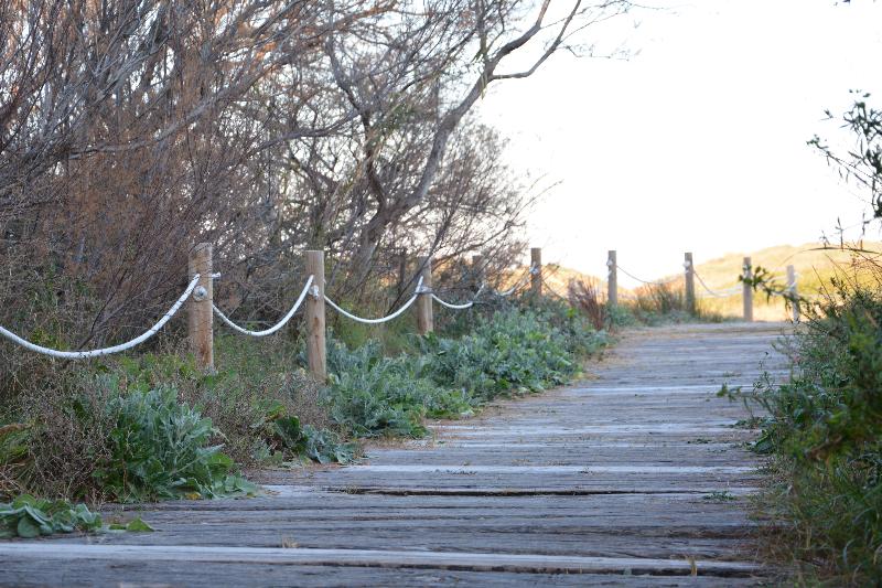 فندق You & Co. Saler Beach Boutique