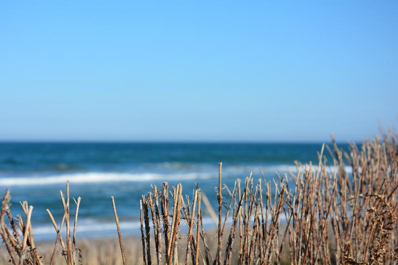 فندق You & Co. Saler Beach Boutique