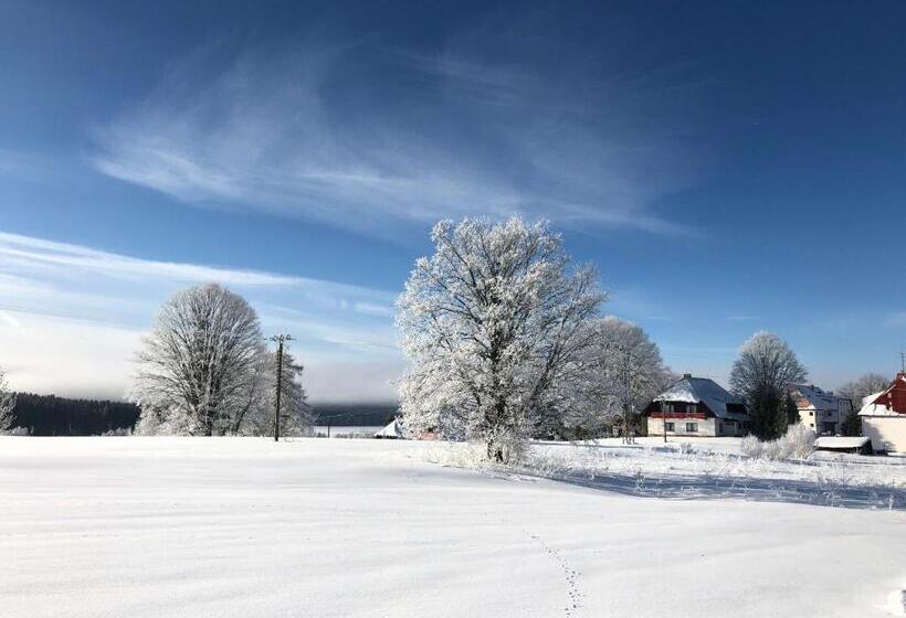 호텔 Fontána Lipno