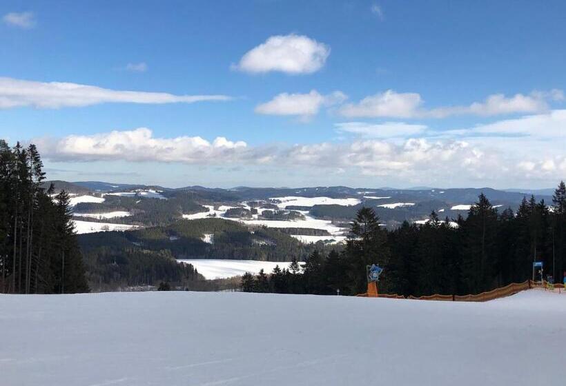 호텔 Fontána Lipno