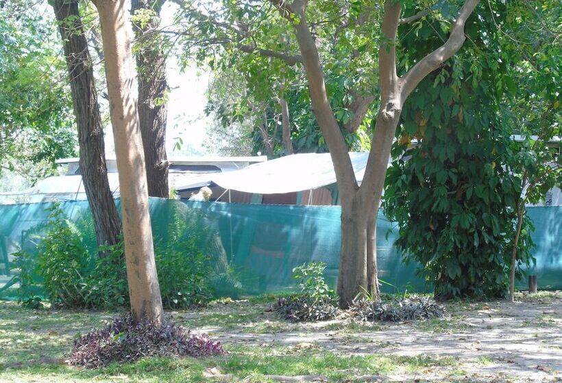 هتل Namwi Island Lodge