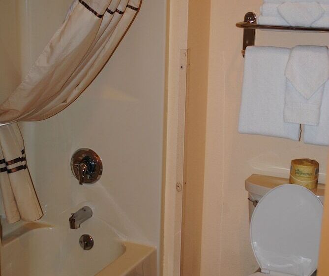 リゾートホテル Wisconsin Dells Area Condominiums