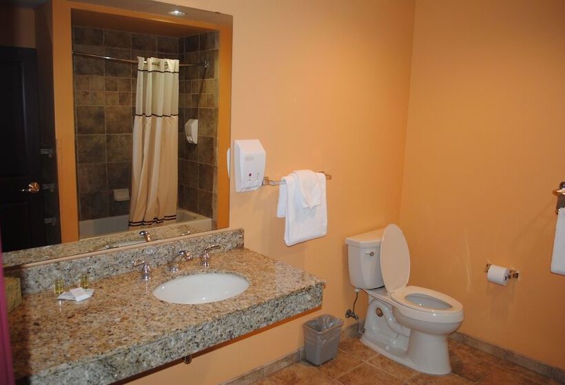 リゾートホテル Wisconsin Dells Area Condominiums