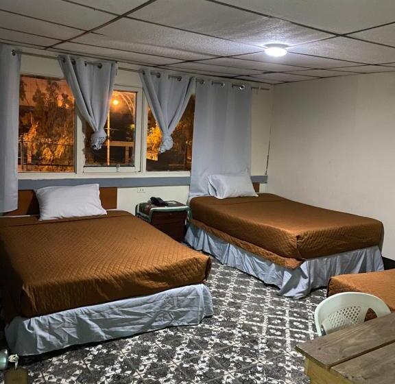 تختخواب و صبحانه Mayesstic