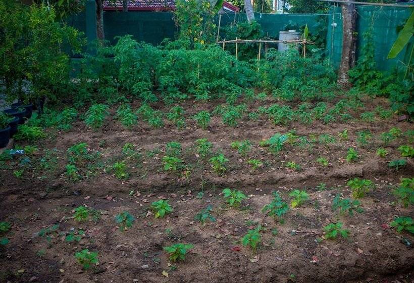 Bed and Breakfast Villa 406