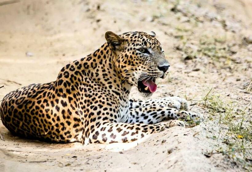 Hôtel Go Yala Farm Villa