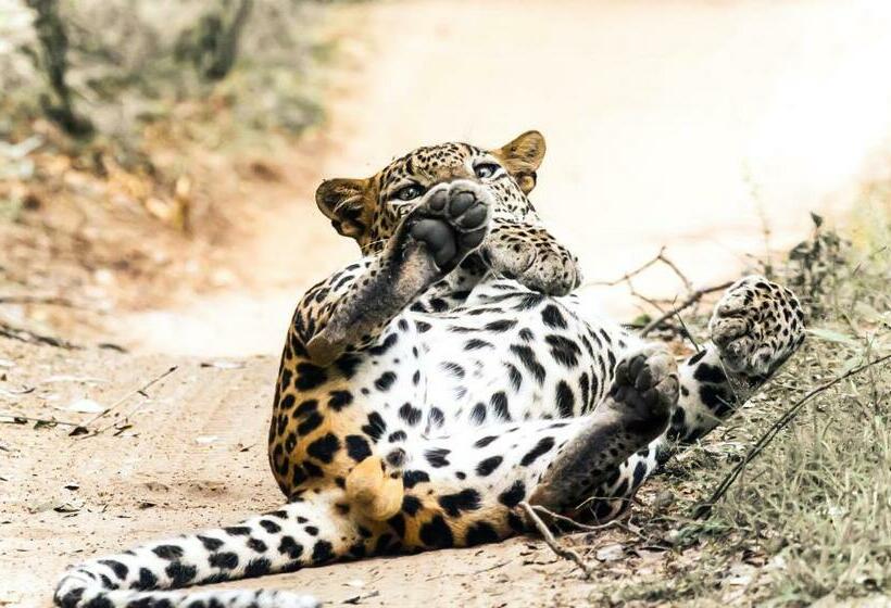 Hôtel Go Yala Farm Villa