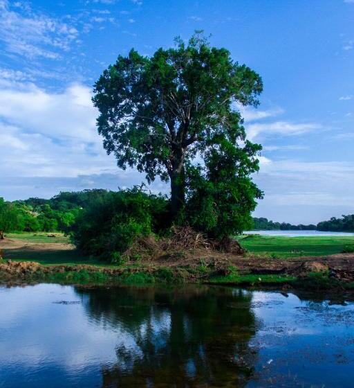 Hôtel Go Yala Farm Villa