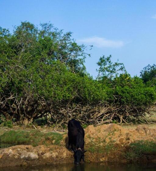 Hôtel Go Yala Farm Villa