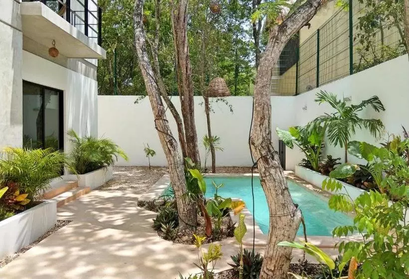 Mi Tulum